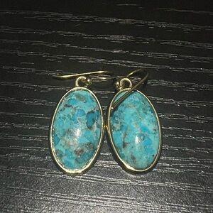 Barse: Eternally Turquoise Matrix and Bronze Drop Earrings